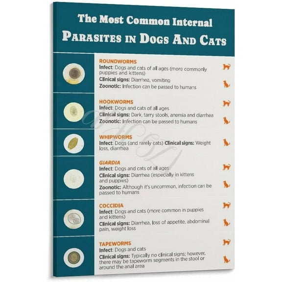 The Most Common Parasites in Dogs And Cats Poster Pet Hospital Wall Art (4) Canvas Painting for Living Room Bedroom Decor