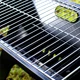 thumbnail image 4 of Parrilla Asador Portatil Plegable KITCHENES Carbon Camping Picnic, 4 of 10