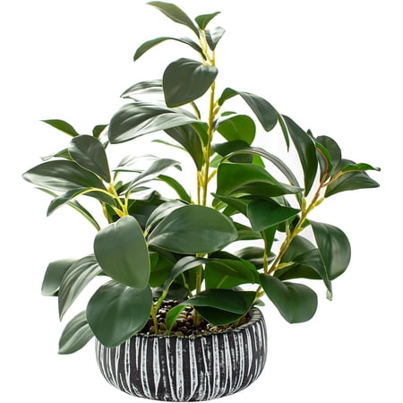 Artificial Greenery Decor Greenery Fake Succulent Greenery Indoor Planterted Fake Plant with Rustic Black Clay Planter for Farmhouse Room Bathroom Bedroom Kitchen Office Decor Table Desk Decor