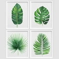 thumbnail image 3 of PixonSign Framed Tropical Island Banana Palm Leaf Wall Art, Set of 4 Nature Wilderness Wall Decor Prints, Botanical Floral Leaves Wall Décor, Home Artwork for Office, Bedroom - 8"x10" White, 3 of 5