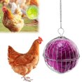 thumbnail image 1 of Chicken Vegetable Hanging Feeder Stainless Steel Poultry Feeder Ball Metal Detachable Feeding Ball with Chain Reusable Hanging Chicken Feeding Basket for Chicken Hens Duck Rabbit, 1 of 11