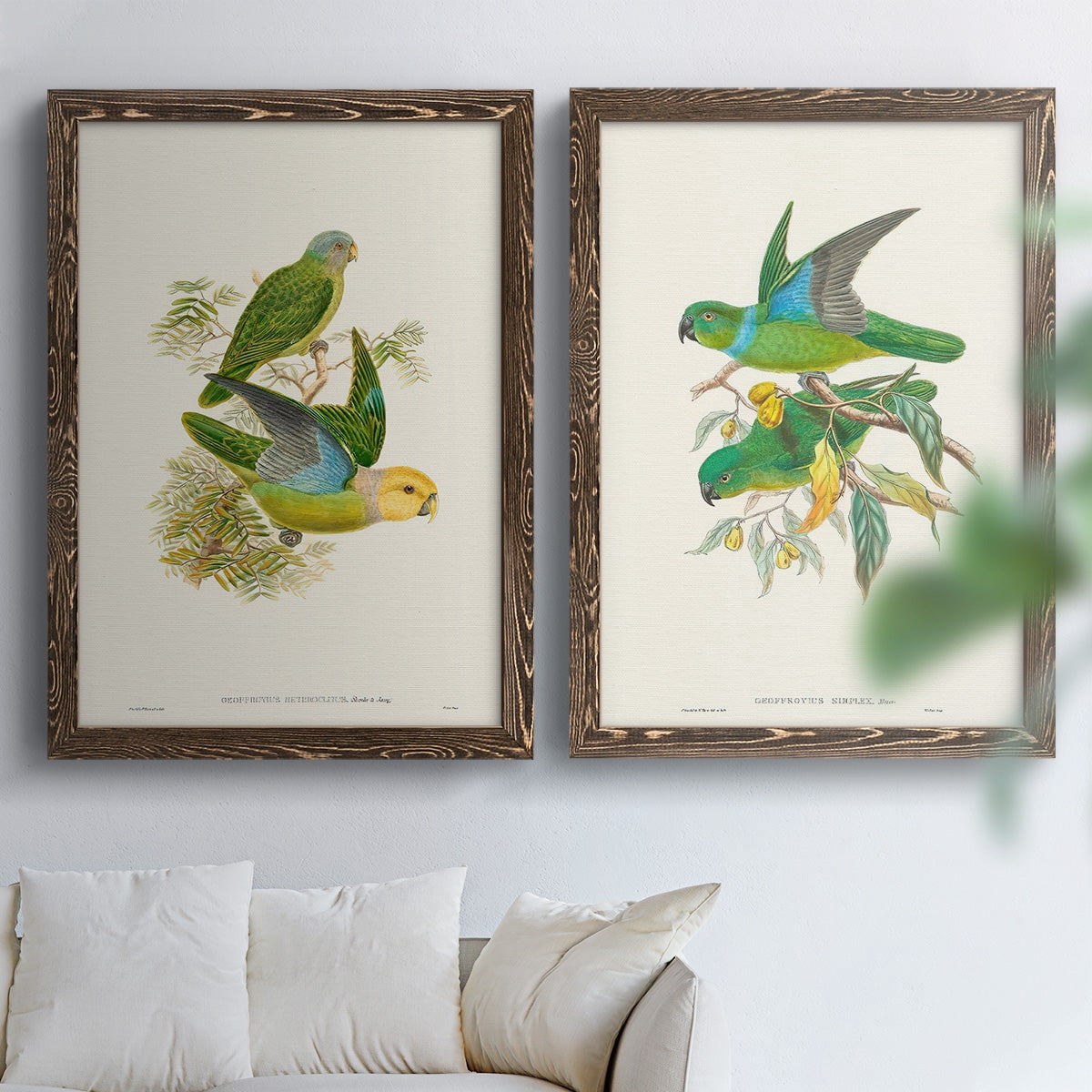 Lime & Cerulean Parrots I - Premium Framed Canvas 2 Piece Set - Ready to Hang