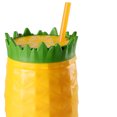 thumbnail image 3 of Summer Water Cups,Fruit Shape Cup Double Plastic Water Cup Summer Straw Cups Power Packed Performance, 3 of 3