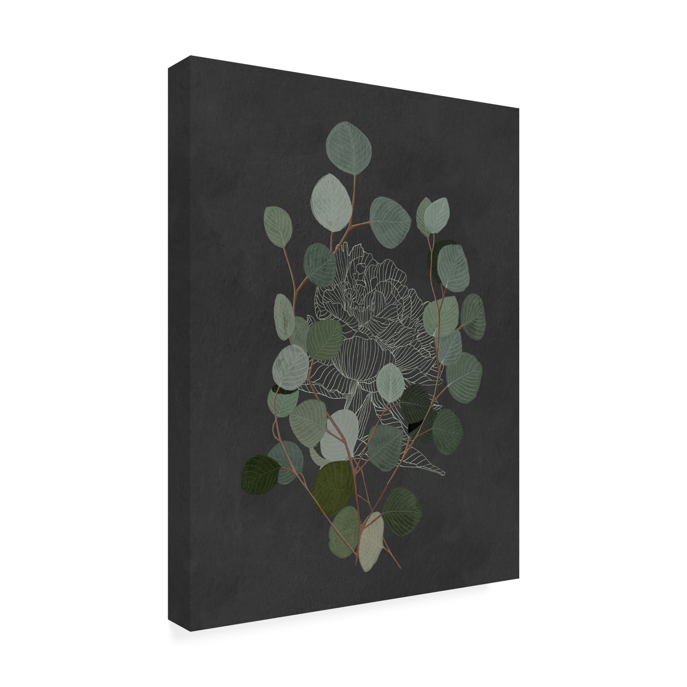 Trademark Fine Art Katie O'Shea Eucalyptus Leaves III Canvas Wall Art