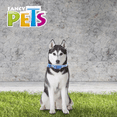 thumbnail image 5 of COLLAR GDE SKY LOOK P/PERRO GALERIA, 5 of 5