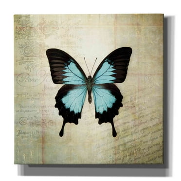 Epic Graffiti 'French Butterfly III' by Debra Van Swearingen, Canvas Wall Art, 37"x37"