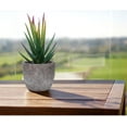 thumbnail image 4 of Juego de 3 pequeñas plantas artificiales para decoración de interiores y exteriores, suculentas en maceta para oficina, balcón, sala de estar, hogar Xemadio YQ-1527, 4 of 7