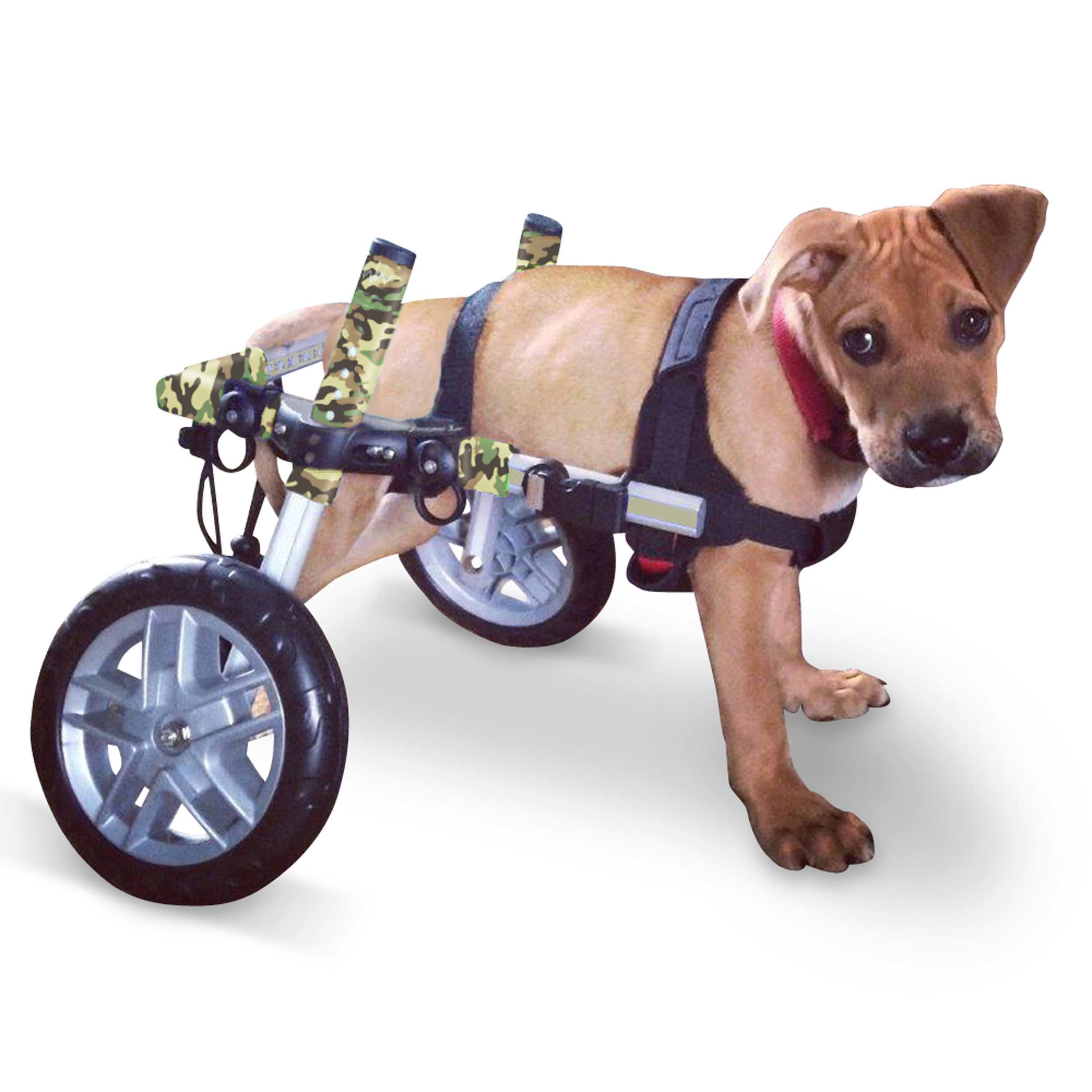 Walkin' Wheels Dog Wheelchair Vet Approved Small Dogs 1125 Pounds