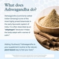 thumbnail image 4 of Youtheory Ashwagandha - Vegetarian Energy & Stress Support Supplement with Organic KSM-66 & Ginger Extract - Cane Sugar-Mixed Berry, 60 Gummies (20 Day Supply), 4 of 7