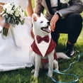 thumbnail image 7 of IDOMIK Dog Tuxedo Pet Wedding Party Suit and Bandana Set, Formal Clothes with Bow Tie for Medium Dogs, Red, 7 of 7