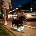 thumbnail image 4 of Breathable Mesh Dog Boots 4 Pcs Reflective Pet Paw Protector Shoes Adjustable Strap Antiâ HeatâResistant Puppy Booties for Hot Pavement Night Walking Camping Travel, 4 of 8