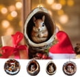 thumbnail image 1 of Xihbxyly Adorno Navideño de Búho y Mapache, Decoración Navideña Acrílica, Impresión 2D Realista, Temática de Animales Del Bosque, Decoración Multiusos para El Hogar o La Oficina, Perfecto para Navida, 1 of 7