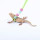 thumbnail image 1 of Correa De Lagarto, Correa De Hámster Ajustable Resistente A La Abrasión Cómoda Multifuncional Para Exteriores Para Animales Pequeños, 1 of 7