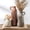 010 Vase Set With Handle - Brown, variant on Rustic Farmhouse Vases Home Decor Decorative Flower Vase Modern Boho Vase for Table Mantel Entryway Living Room Kitchen Bathroom