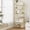 Gold, variant on Bookcase Bookshelf, Tempered Glass Bookshelves, Slim Shelving Unit for Bedroom, Bathroom, Home Office, Steel Frame, 5 Tier Gold BC05001G