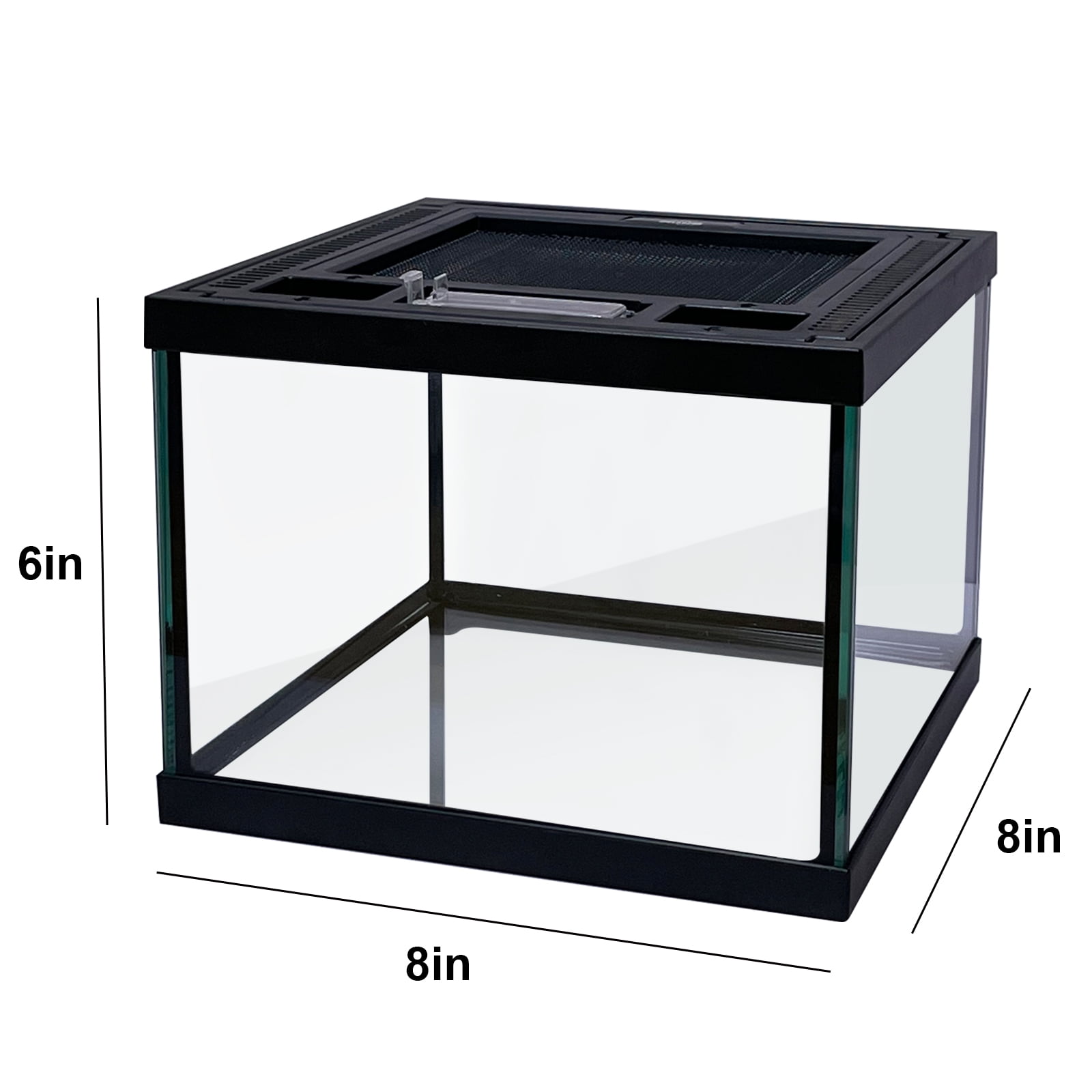 Mini Reptile Glass Terrarium Tank 8 * 8 * 6" Full View, Amphibians Box Habitat Enclosure Cage for Frog,Spiders,Dubia Cockroach,Praying Mantis,Cricket,Tarantula,Hermit Crab