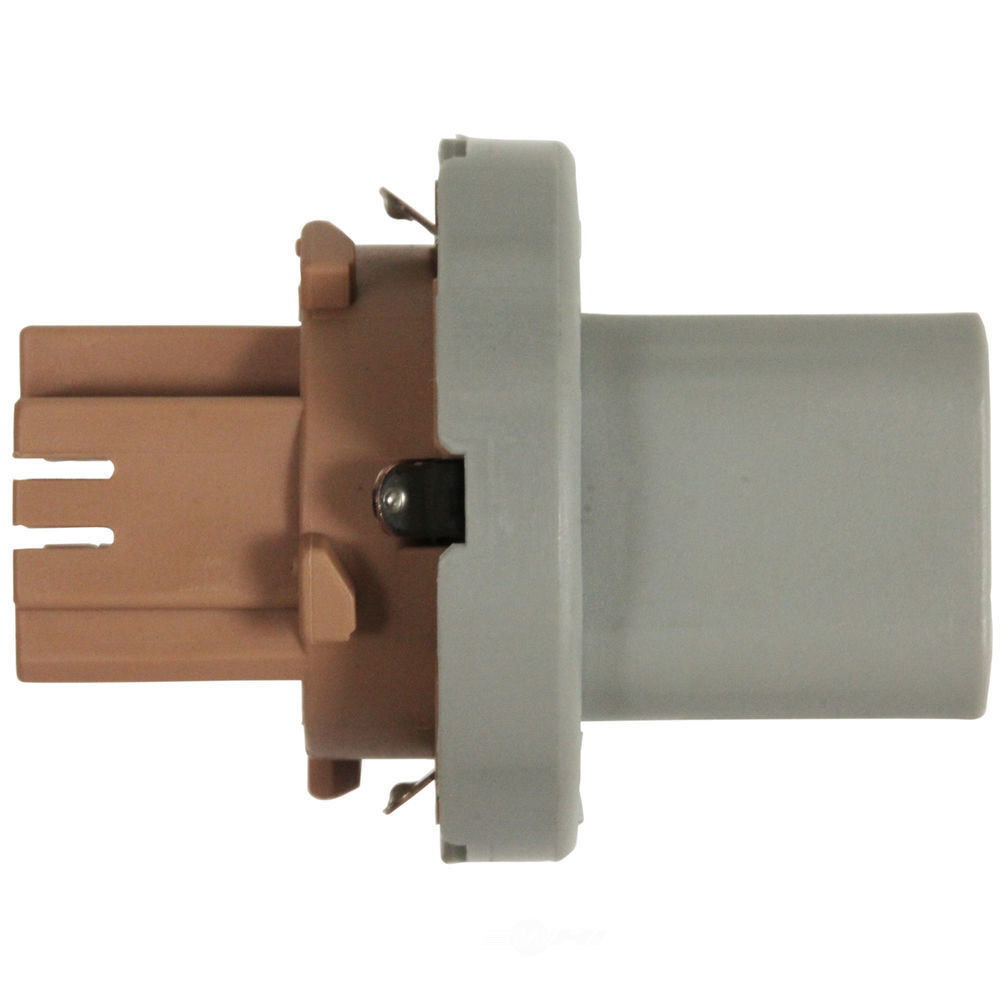 WVE Brake Light Socket