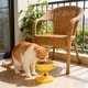 thumbnail image 5 of Cuenco de plástico con forma de trofeo para mascotas, con altura ajustable de 5 niveles, para el cuello y bebedero, apto para gatos y perros., 5 of 6