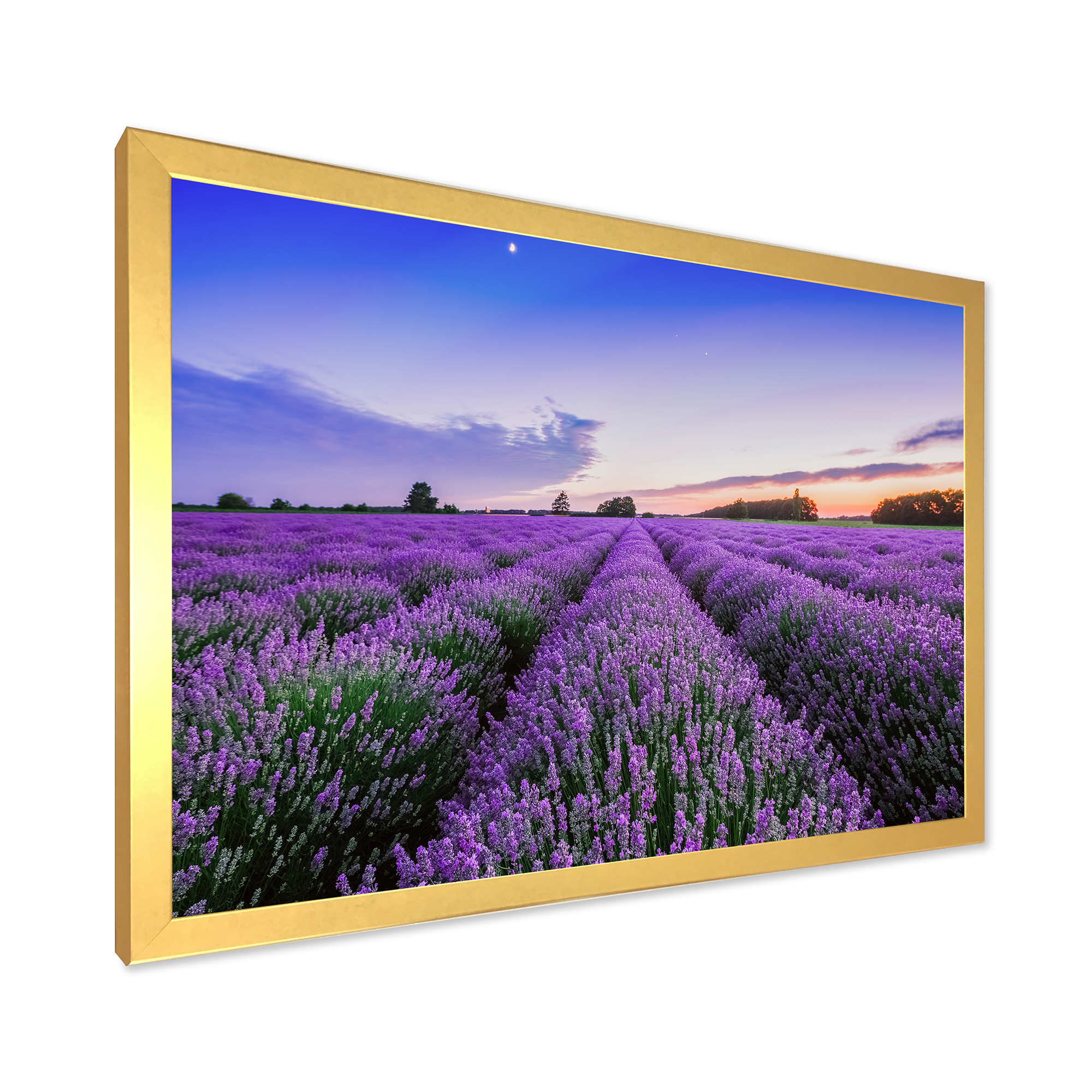 Designart 'Dramatic Clouds and Sunrise Over Lavender Field II' Farmhouse Framed Art Print