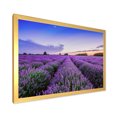 thumbnail image 2 of Designart 'Dramatic Clouds and Sunrise Over Lavender Field II' Farmhouse Framed Art Print, 2 of 4