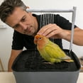 thumbnail image 2 of TIELUTT Circulating Water Bath Parrot Bathtub Bird Bath Automatic Bird Cage Shower Easy Clean Parrot Water Circulation Bath for and African Grey Birds Bath, 2 of 4