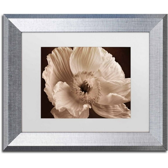 Trademark Fine Art 'Sepia Poppy I' Canvas Art by Cora Niele, White Matte, Silver Frame