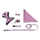 thumbnail image 1 of Set Pechera Collar Correa Para Perro, Accesorios Para Paseo, 1 of 4