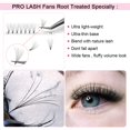 thumbnail image 2 of Extensiones de pestañas Premade Fans PRO LASHBEAUTY 6D-D-0.07-9-16, 2 of 9