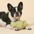thumbnail image 3 of Oodles Durable Looped Knot Dog Toy Set, Blue and Green, One Size, 3 of 9