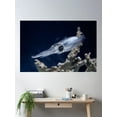 thumbnail image 2 of Cuttlefish At Monterey Bay Aquarium Poster Wall Art, Modern Wall Decor For Living Room Bedroom, 8x12 UNFRAMED, 2 of 3