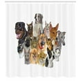 thumbnail image 2 of Ambesonne Pet Lover Shower Curtain, Domestic Animals, 69"Wx70"L, Multicolor, 2 of 2