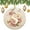 pattern-1, variant on Monogram S with Pink Flowers Ceramics Ornaments Floral Monogram Letter 3" Ceramic Christmas Ornament Collectible Present Gift Xmas Tree Decoration Gifts for Women Men On Christmas
