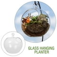 thumbnail image 2 of Hanging Glass Fish Tank Transparent Minimalist Home Decor 1Set 5.1X4.7X4.7In, 2 of 8
