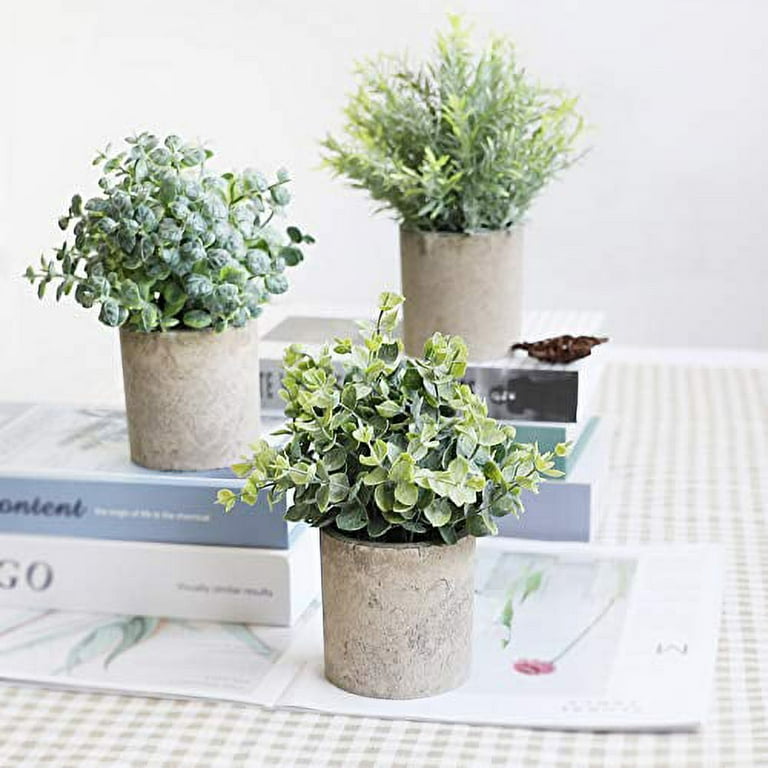 The Bloom Times 2 Pcs Fake Plant for Bathroom/Home Office Decor, Small  Artificial Faux Greenery for House Decorations (Potted Plants) – Hammocks