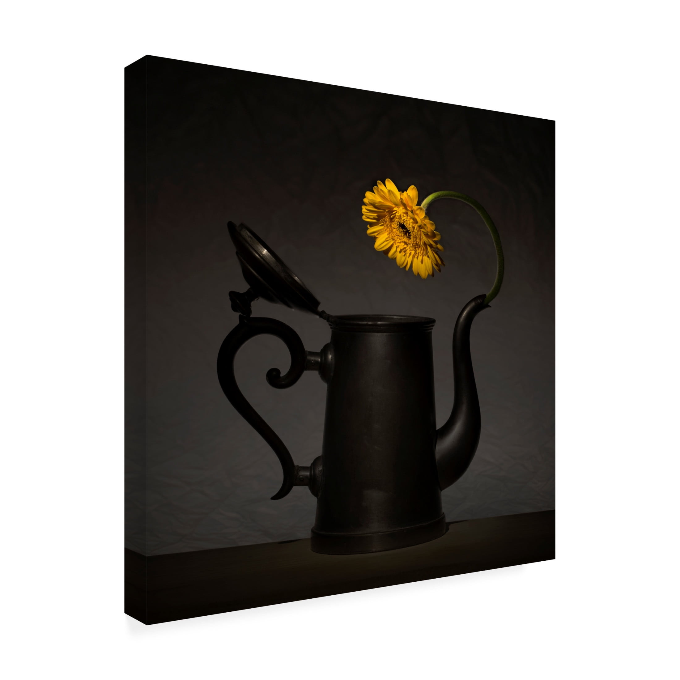 Canvas Wall Art - Wieteke De Kogel 'Is It Me In There' Wall Art for Living Room, Bedroom, or Office D?cor by Trademark Fine Art - 24 x 24 Inches