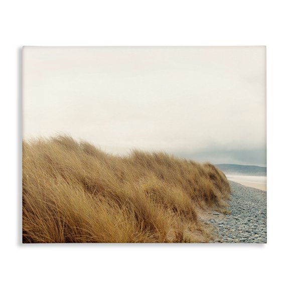 Stupell Industries Transitional Tall Grass Windy Ocean Scene Pebble Coast Beach Canvas Art, 20 x 16, by Ian Winstanley