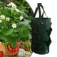 thumbnail image 2 of Bolsa para de fresas de 3 galones, bolsa transpirable para plantar fresas, macetero colgante para de flores de cebolla de jardín Verde, 2 of 5