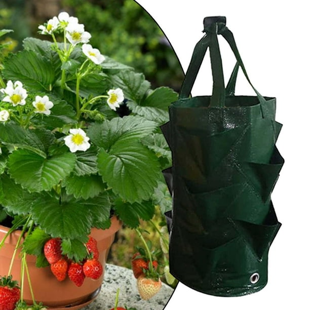 Bolsa para de fresas, 3 galones con bolsillos, bolsa para maceta colgante duradera, bolsa para plantar fresas para de flores y jardín Verde