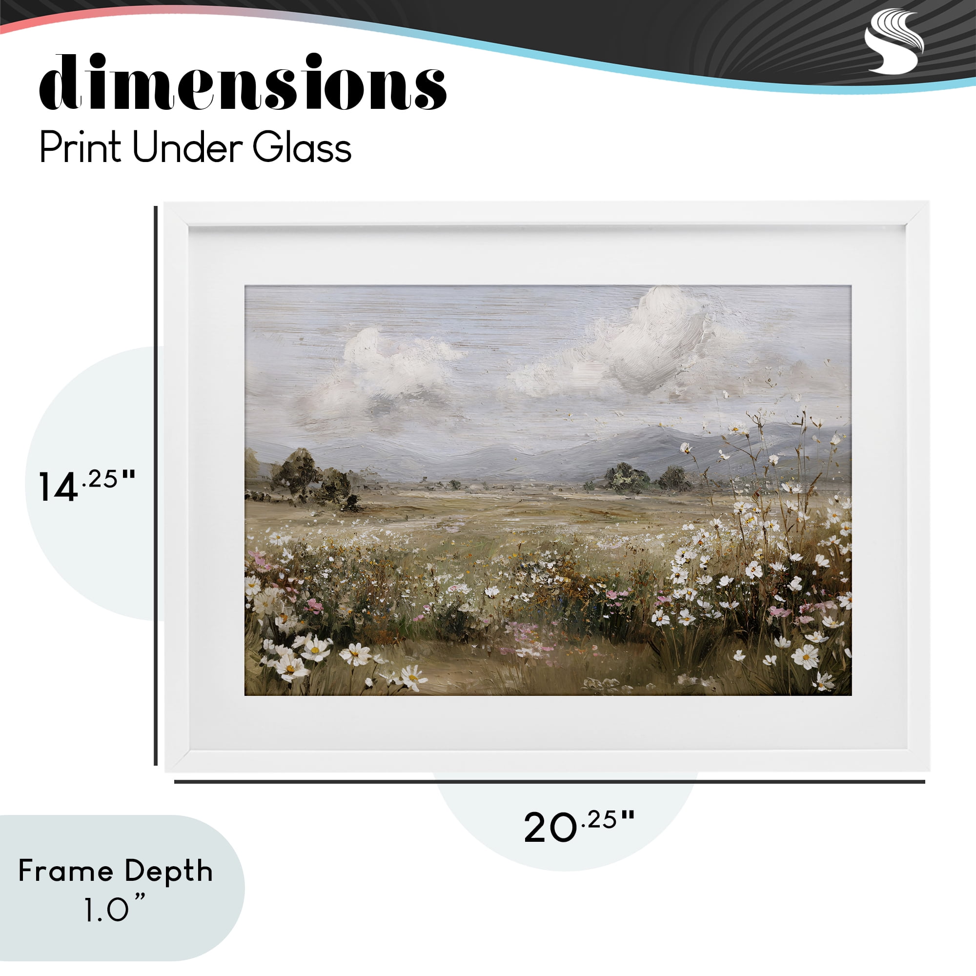 Stupell Industries Daisy Clusters in Field White Framed Print Under Glass, design by Jacky Ngan