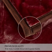 JML 2 Ply Fleece Plush Bed Blanket,Heavy Thick Soft Warm Mink Blanket for Winter King,85x95,10lb