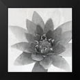 thumbnail image 2 of Kimberly, Allen 20x20 Black Modern Framed Museum Art Print Titled - Lotus 1, 2 of 5