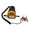 🔥 Multicolor_Hot#5273, variant on Electric Oil Transfer Pump 12V Self-Priming Oil Extractor | Portable Vacuum Scavenge Suction Pump | Transfers Water Fluids | High Efficiency | Compact Durable Plastic | 1L/min | For Car Motorcycle