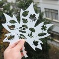 thumbnail image 2 of VOLKMI 6pcs Pet Special-shaped Handwritten Newspaper Painting Template For Diy Notebook Diary Scrapbook, 2 of 8