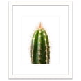 thumbnail image 1 of Humble Chic Spiky Cactus Plant Succulent, 11x14 Frame with 8x10 Print - Framed Modern Botanical Wall Art, 1 of 8