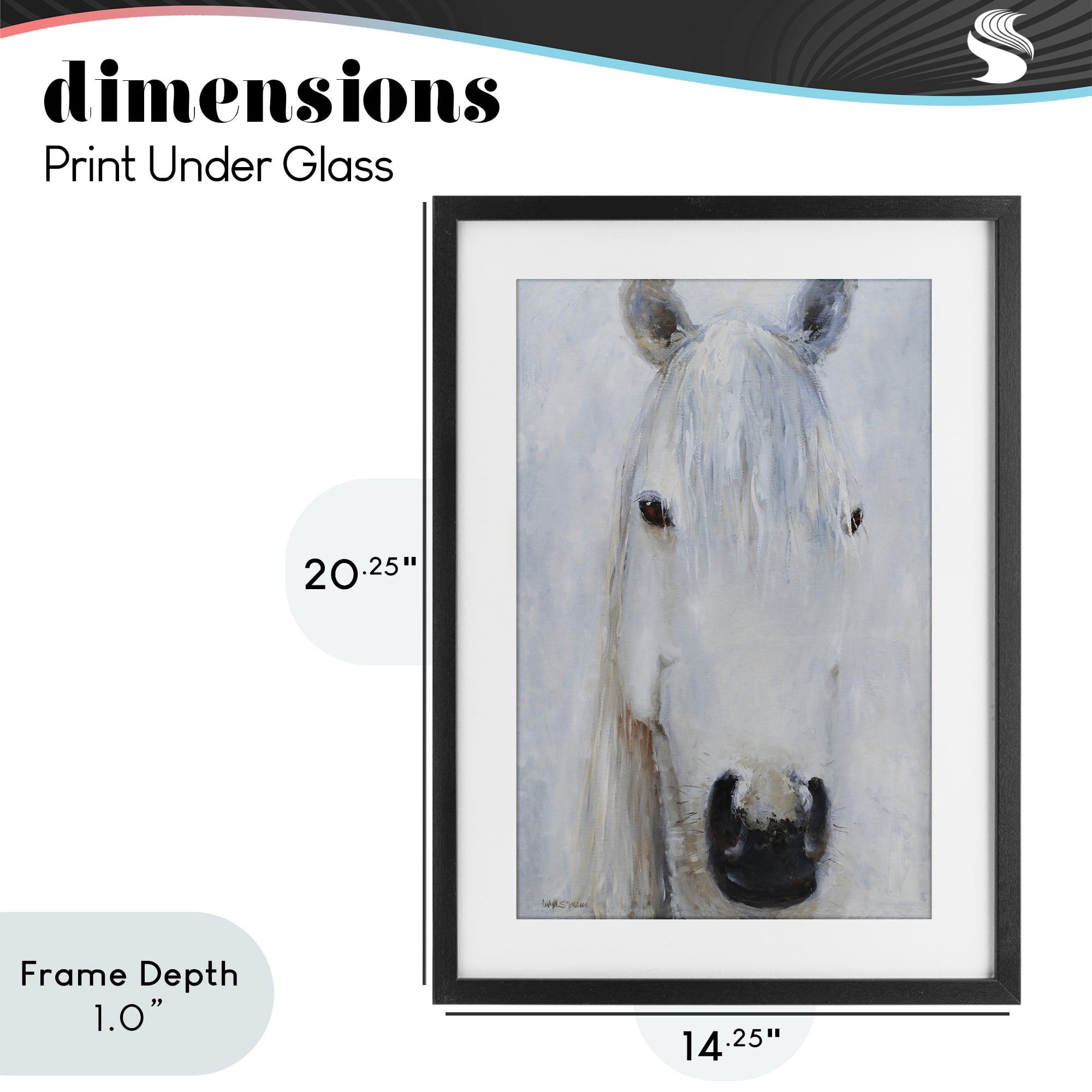 Stupell Industries Pure White Horse Portrait Black Framed Print Under Glass, design by Jadei Graphics