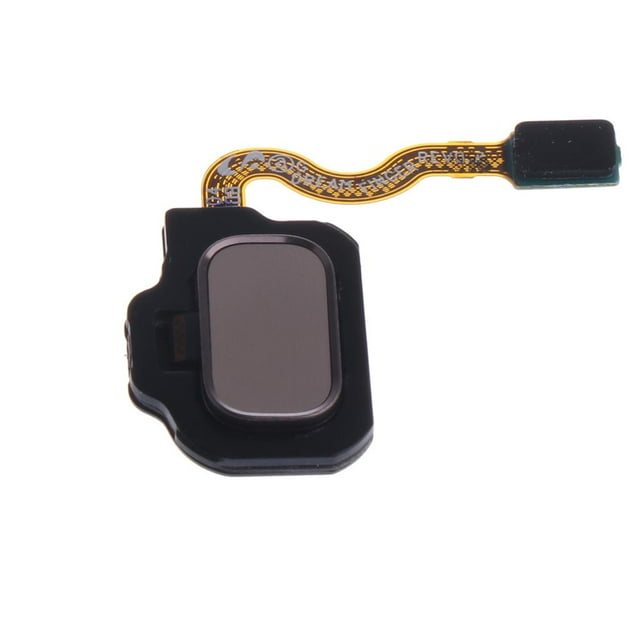 Cable flexible del escáner del sensor de huellas dactilares Sunnimix Botón de inicio para Galaxy S8 Plus Oro