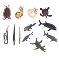 thumbnail image 1 of Ancient Marine Animal Models Set, Pinturado A Mano Ancient Marine Animal Toys Fine Workship 12 PCS Viven Vivido Para Disecuracia para Colecció, 1 of 7