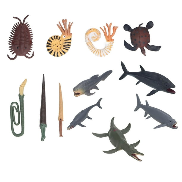 Ancient Marine Animal Models Set, Pinturado A Mano Ancient Marine Animal Toys Fine Workship 12 PCS Viven Vivido Para Disecuracia para Colecció
