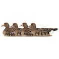 thumbnail image 1 of Avian X Topflight Specklebelly Floating Goose Decoys with True to Life Postures, 1 of 12