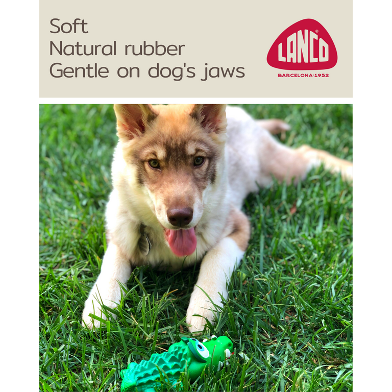 Crocodile Sensory Dog Toy Natural Rubber (Latex), Lead-Free